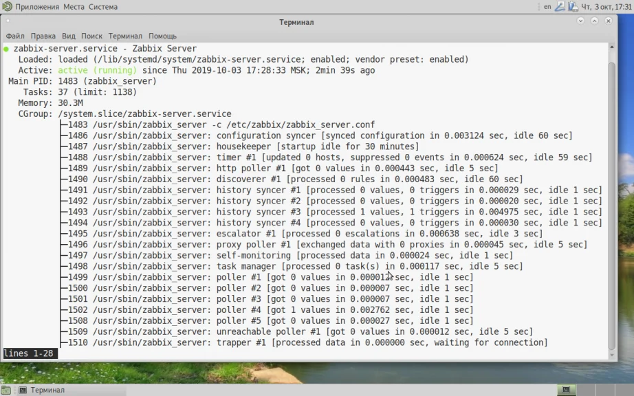 Мониторинг IT-инфраструктуры: Устанавливаем Zabbix Server на Debian 10 с нуля