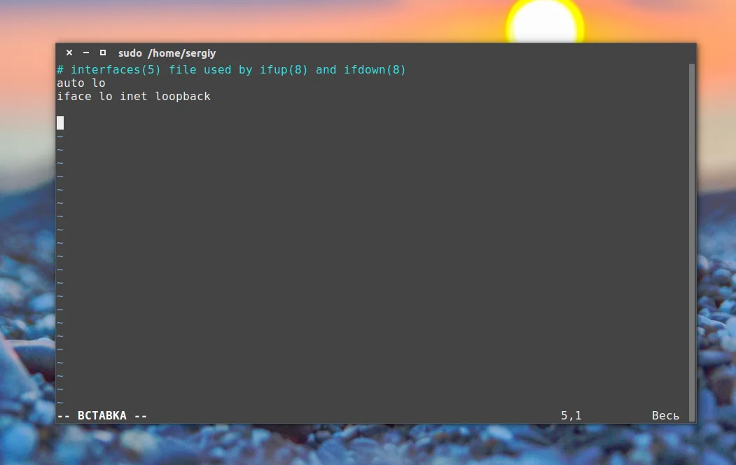 Сеть в Ubuntu без GUI: Полная инструкция по настройке через терминал