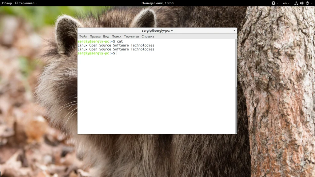 Команда cat в Linux: Секреты, о которых вы не знали