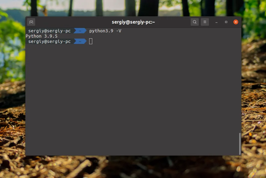 Python 3 на Ubuntu: Установи последнюю версию за 5 минут!