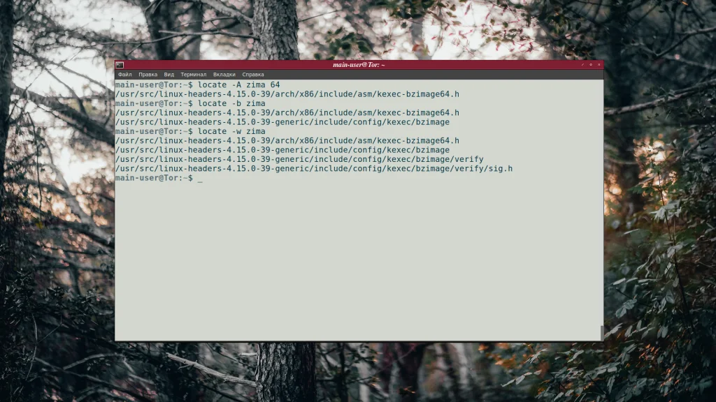 Найдите любой файл в Linux за секунды: Полное руководство по команде locate