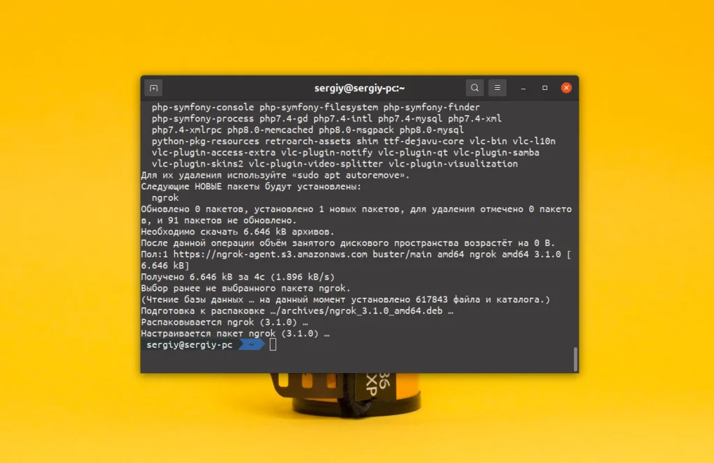 Ngrok: Как вывести локальный сервер в интернет за 5 минут