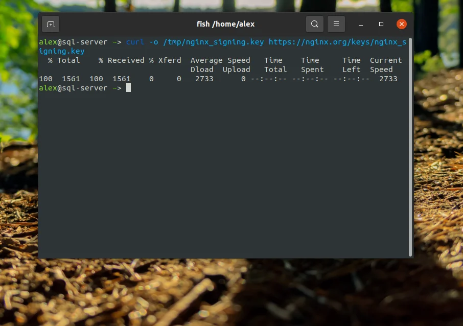 Nginx + PHP-FPM на Ubuntu 20.04: Полное руководство по настройке мощного связующего звена
