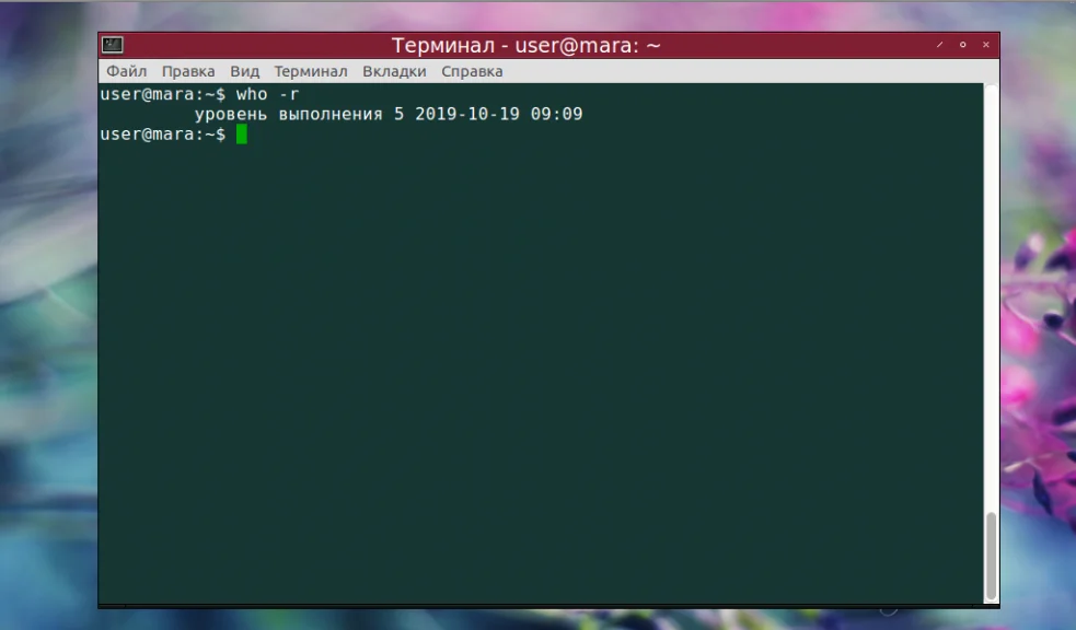 Кто сейчас в системе? Изучаем команду who в Linux