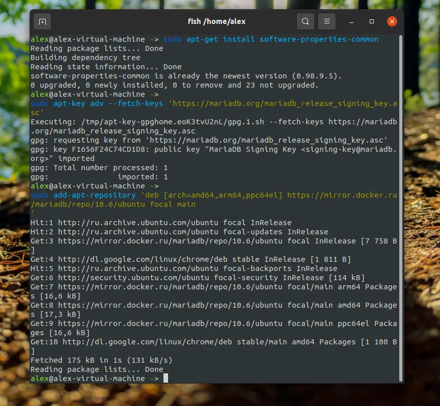 MariaDB в Ubuntu 20.04: Полное руководство по установке и настройке