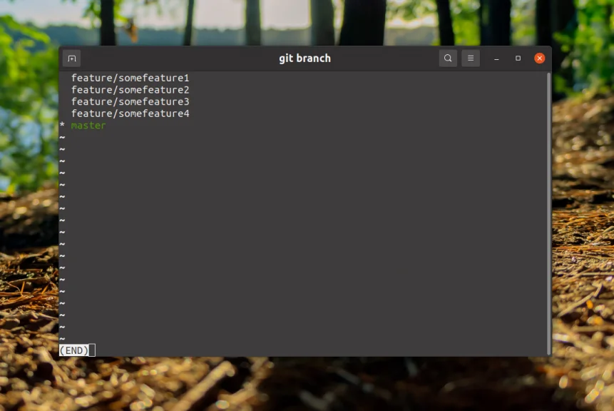 Чистим репозиторий: как правильно удалить ветку в Git