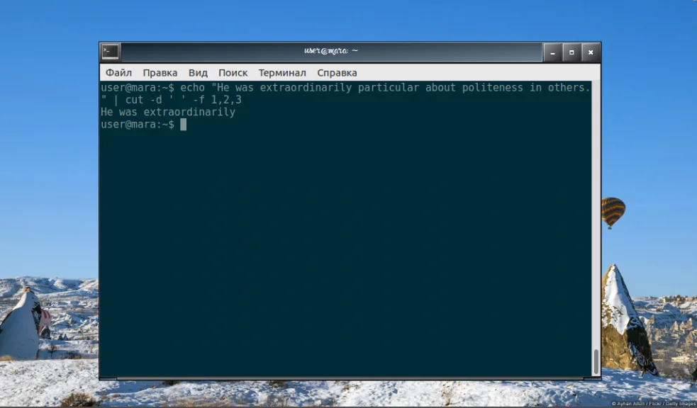 Команда cut в Linux: как легко вырезать нужные части текста