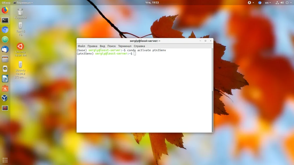 Anaconda в Ubuntu: Полный гайд по установке и настройке для Python-разработки