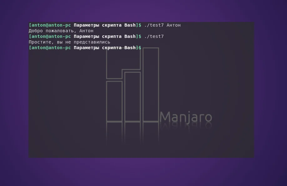 Bash: Как заставить скрипты понимать ваши команды? Полное руководство по аргументам
