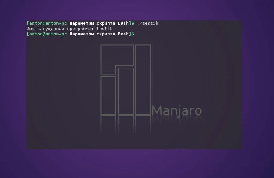 Bash: Как заставить скрипты понимать ваши команды? Полное руководство по аргументам