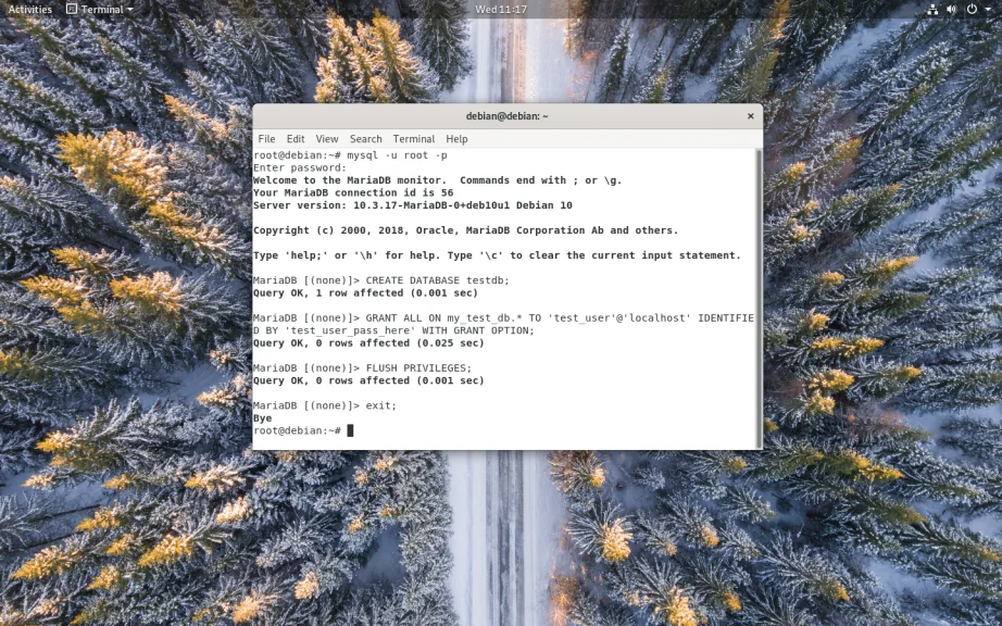 MariaDB на Debian 10: Полное руководство по установке и настройке для вашего сервера