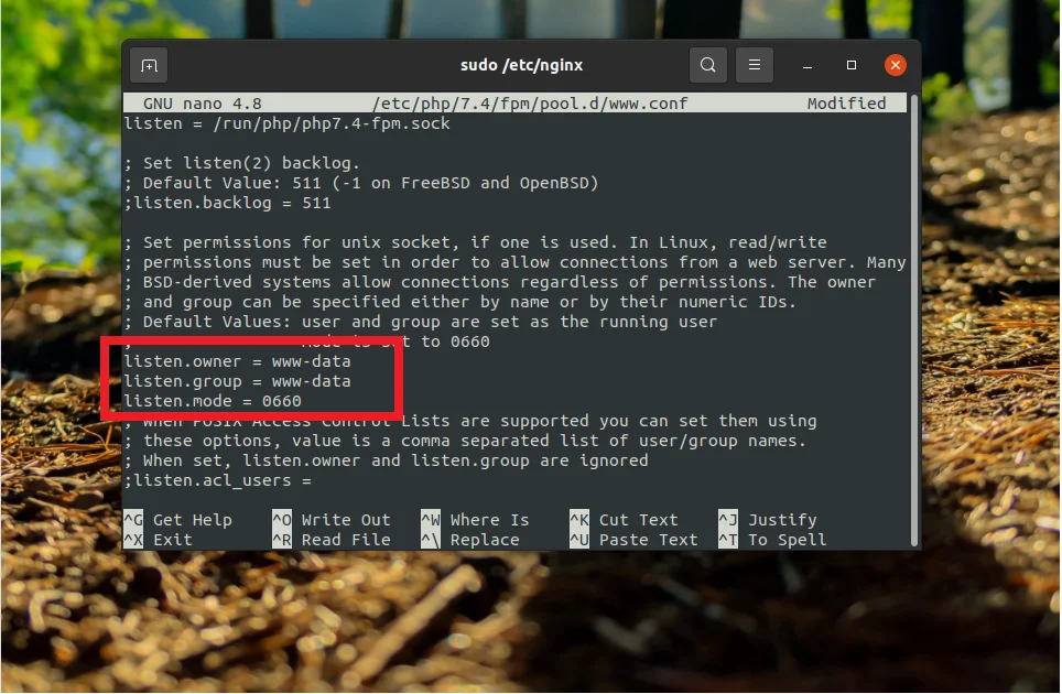 Nginx + PHP-FPM на Ubuntu 20.04: Полное руководство по настройке мощного связующего звена