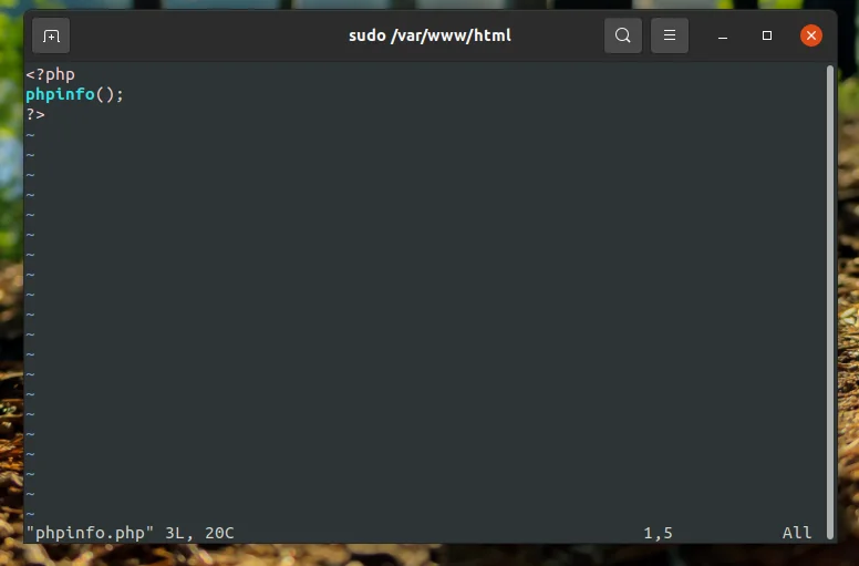 LAMP на Ubuntu 20.04: Полное руководство по установке и настройке веб-сервера
