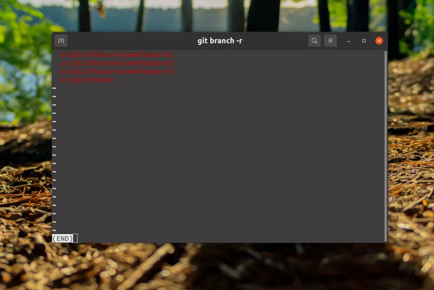 Чистим репозиторий: как правильно удалить ветку в Git