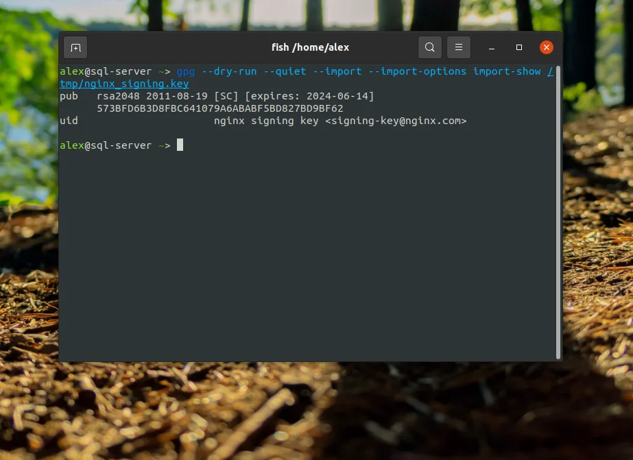 Nginx + PHP-FPM на Ubuntu 20.04: Полное руководство по настройке мощного связующего звена