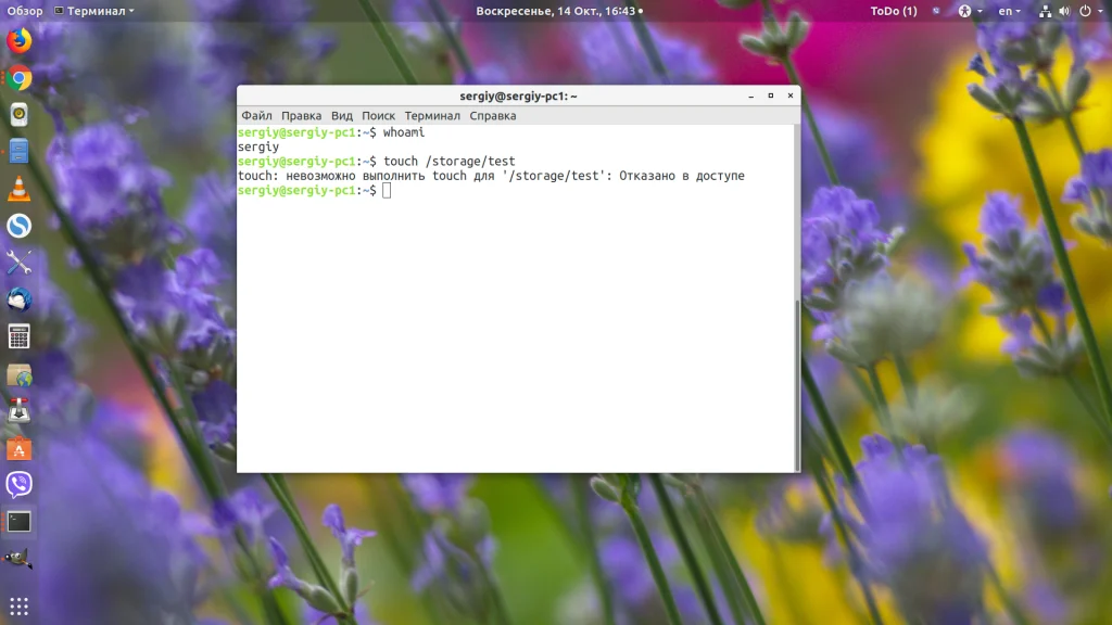 Доступ к папке в Linux: как быстро открыть его для любого пользователя