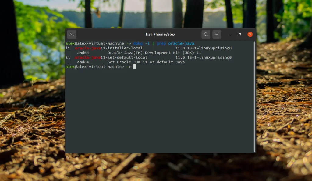Чистим Ubuntu от Java: полный гайд по удалению