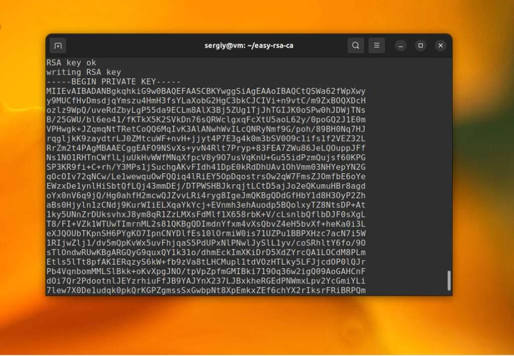 OpenSSL: Полное руководство по созданию SSL-сертификатов с нуля