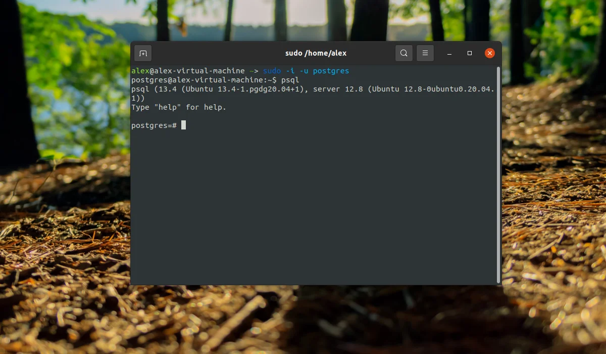 PostgreSQL в Ubuntu: Полная установка и настройка за 10 минут
