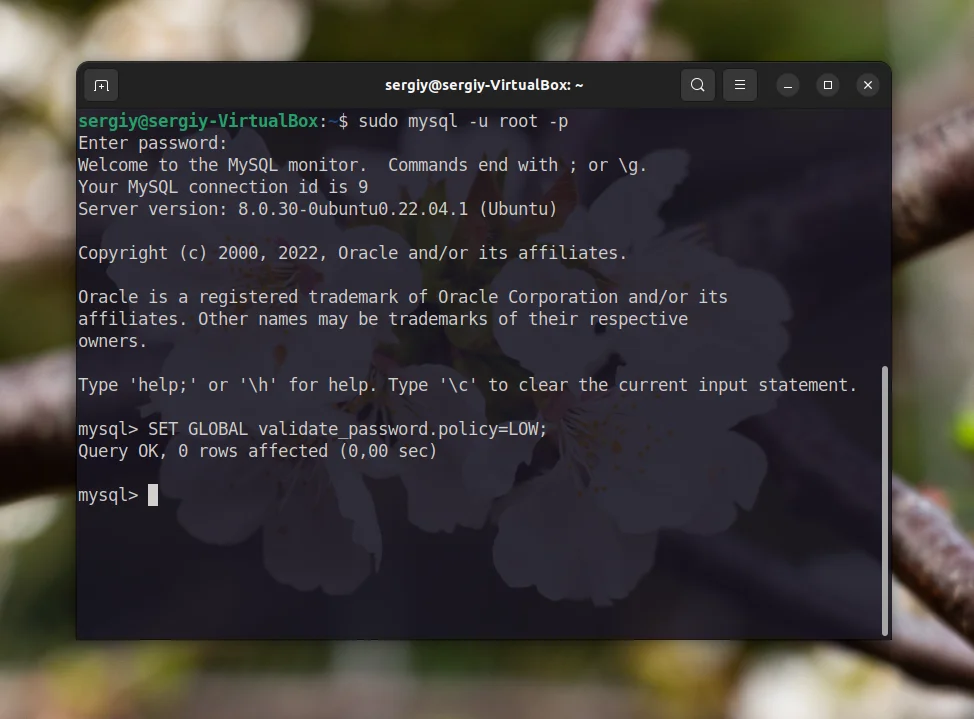 MySQL ругается на пароль? Решаем ошибку валидации за 2 минуты