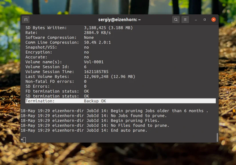 Bacula: Настройте надежное резервное копирование на Linux за 6 шагов