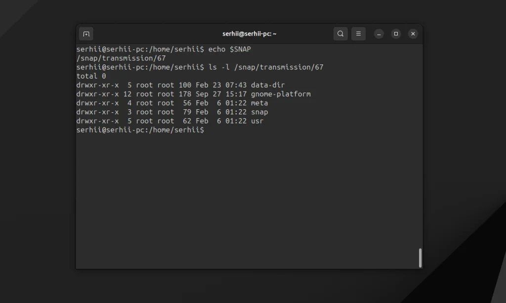 Snap или Flatpak: что выбрать для Linux в 2024 году?
