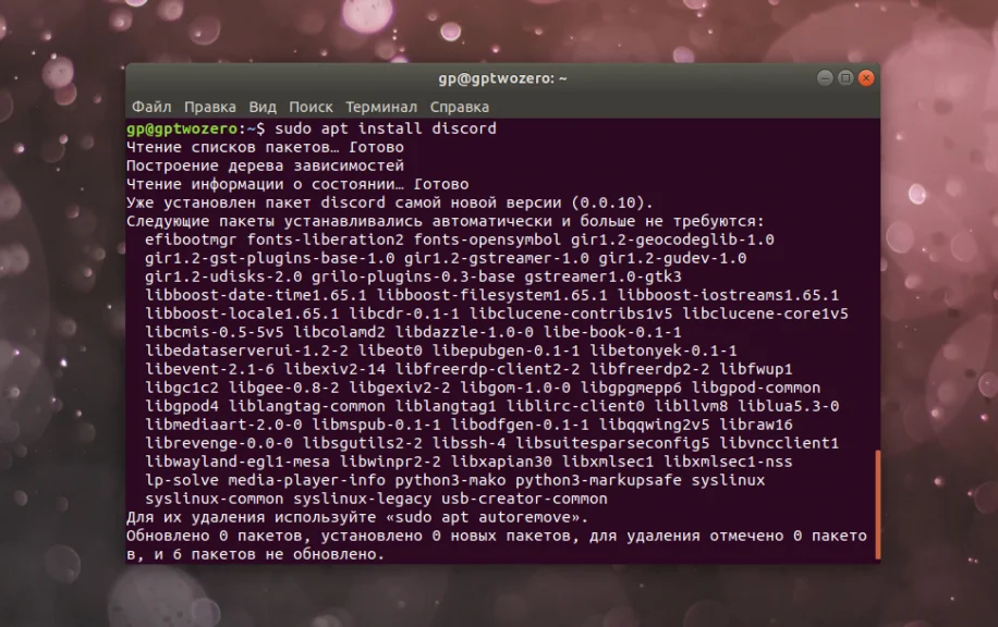 Discord в Ubuntu 20.04: 2 простых способа установки для идеального общения