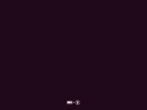 Ubuntu 15.10: Полная инструкция по установке для новичков