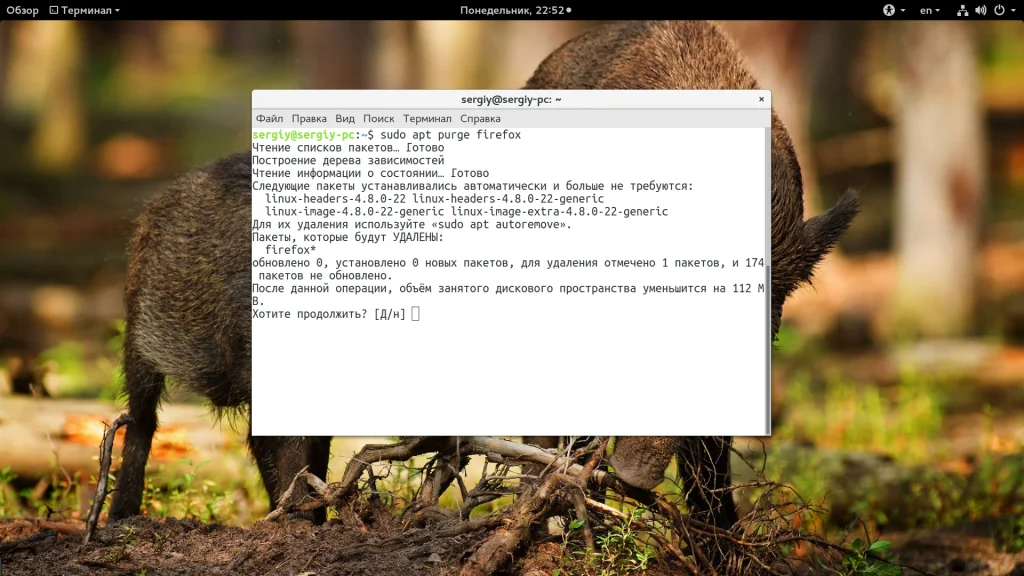 Как правильно удалить программы в Linux: полное руководство для чистоты системы