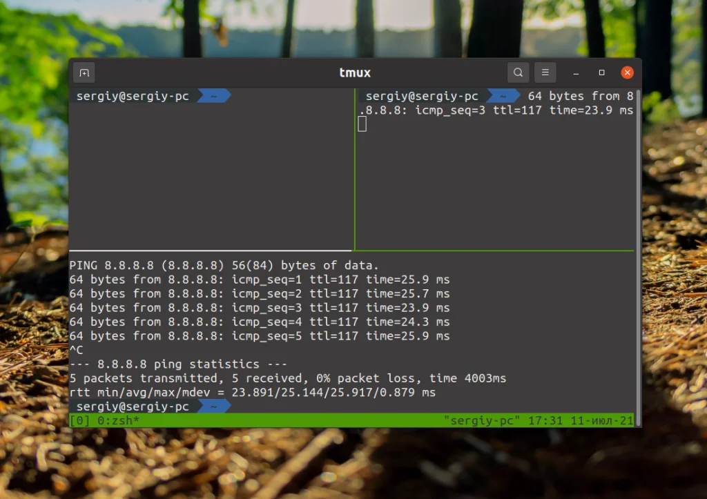 Копирование в Linux-терминале: хитрости для новичков и профи
