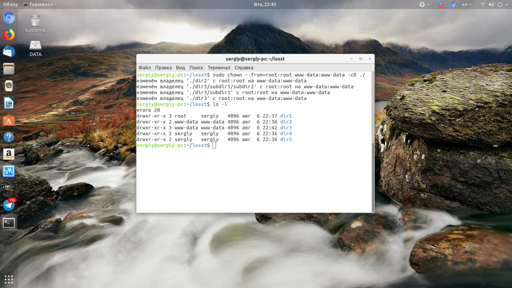 Владелец файла в Linux: как команда chown решает проблемы с доступом