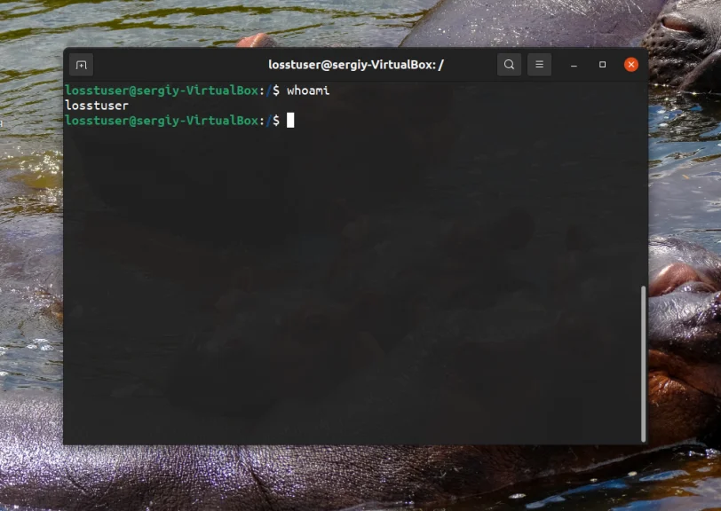 Забыли пароль Ubuntu? Верните доступ за 5 минут!