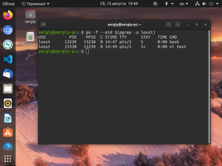 Удаляем пользователей в Linux: полное руководство для админов