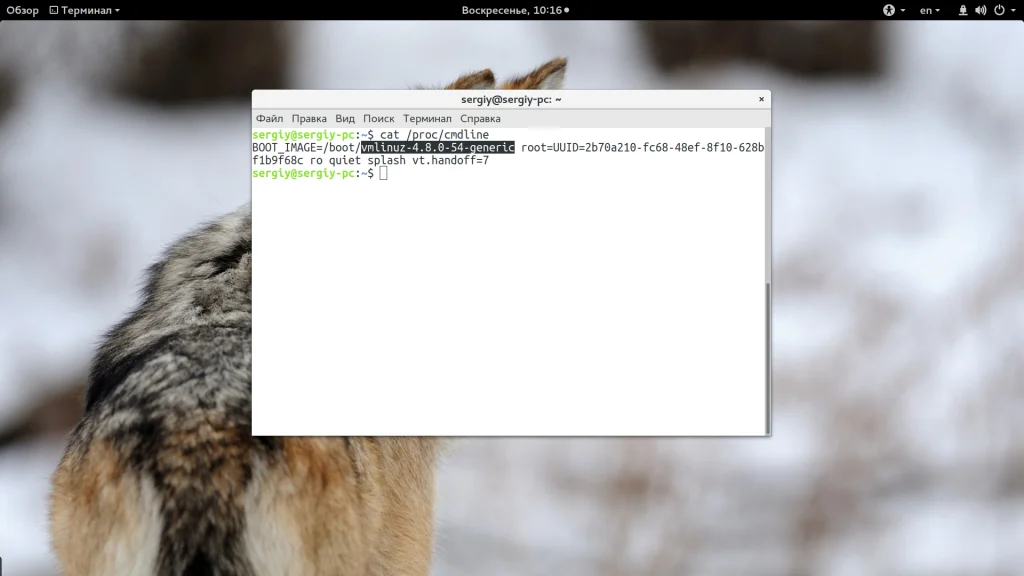Какая версия ядра Linux у вас стоит? 5 способов проверить за минуту