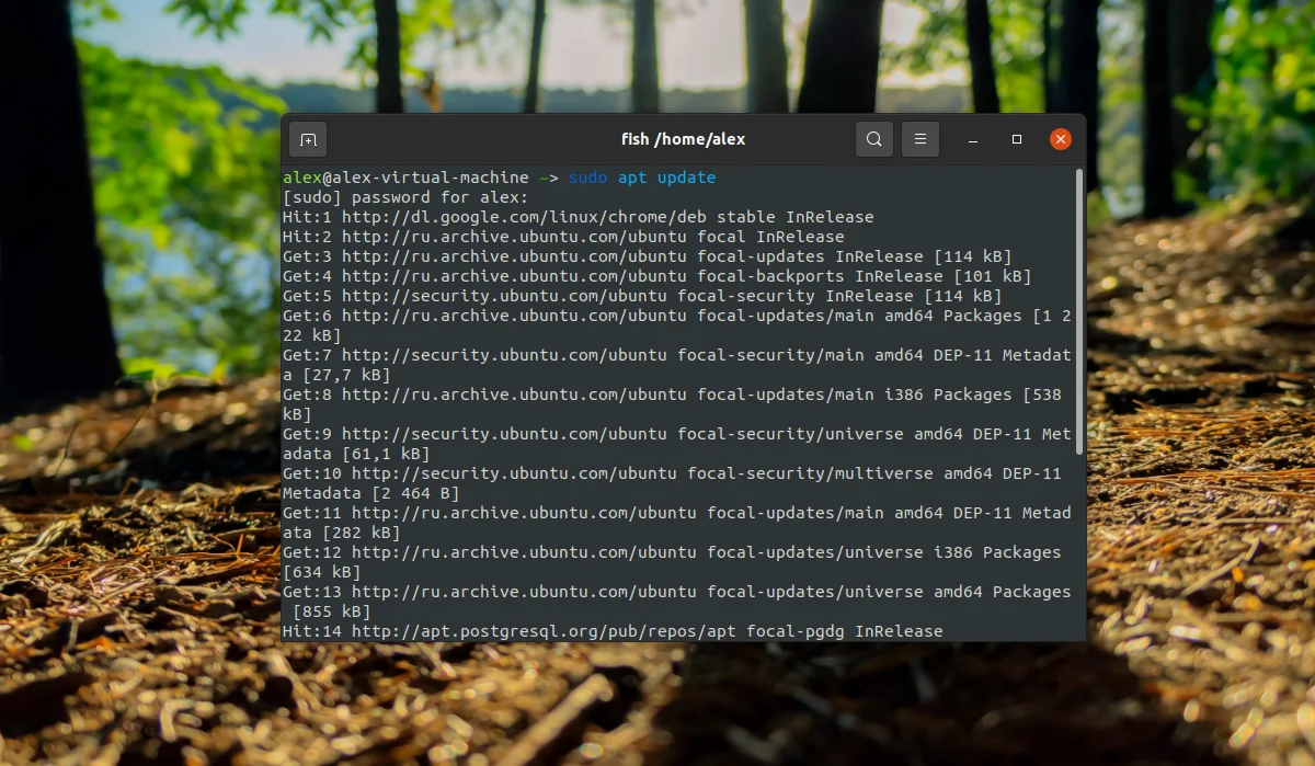 GIMP в Ubuntu: 4 простых способа установить мощный фоторедактор