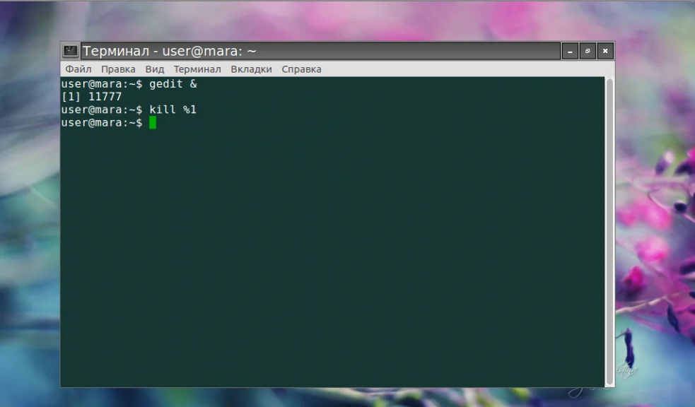 Фоновые процессы в Linux: как освободить терминал и не потерять задачи