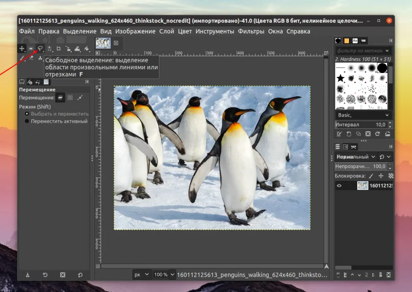 Вырезаем объект в GIMP: Простые способы для идеального результата