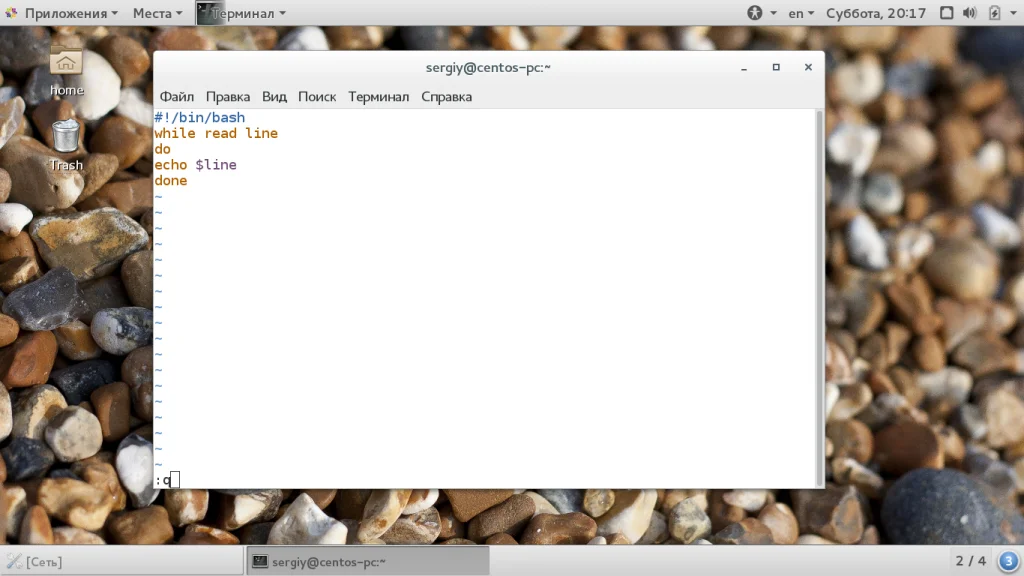 Bash: Циклы for, while, until — Пишем Скрипты как Профи