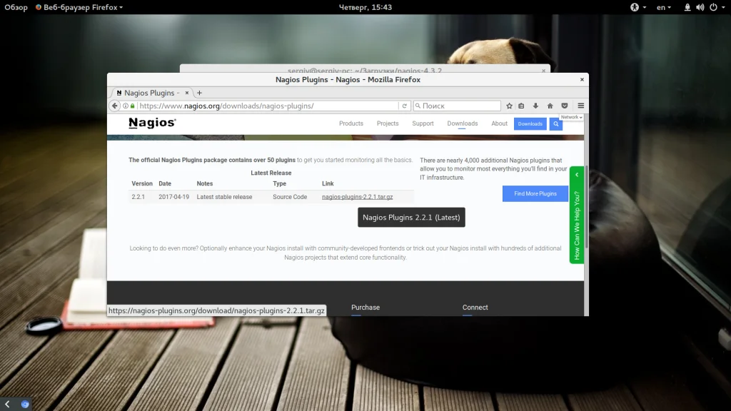Nagios в Ubuntu: Полная установка и настройка системы мониторинга за 30 минут