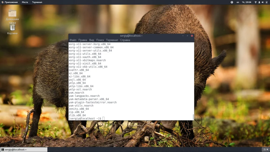 CentOS: Как узнать всё установленное ПО за 5 минут