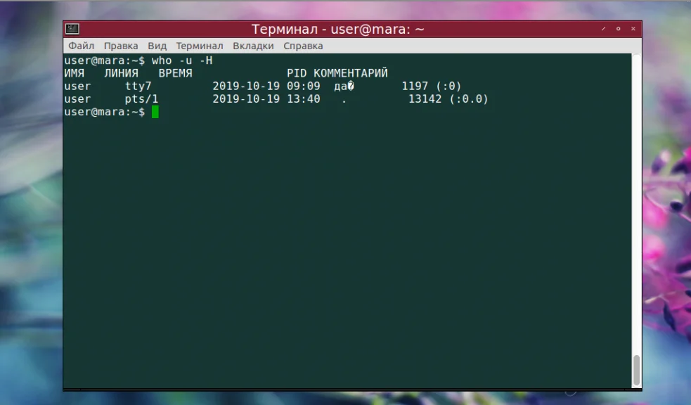 Кто сейчас в системе? Изучаем команду who в Linux
