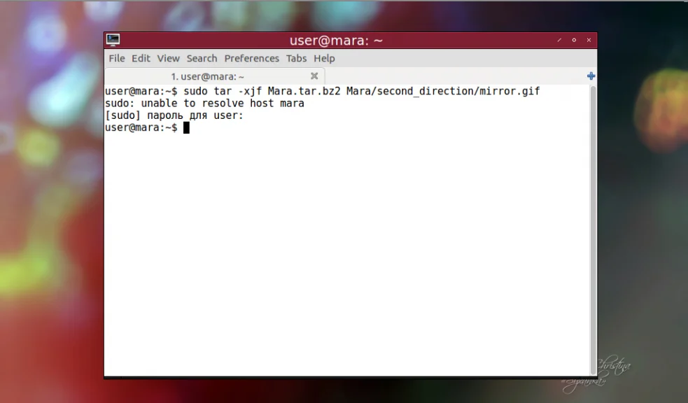 Распаковываем .tar.bz2 в Linux: 4 простых способа для новичков и не только