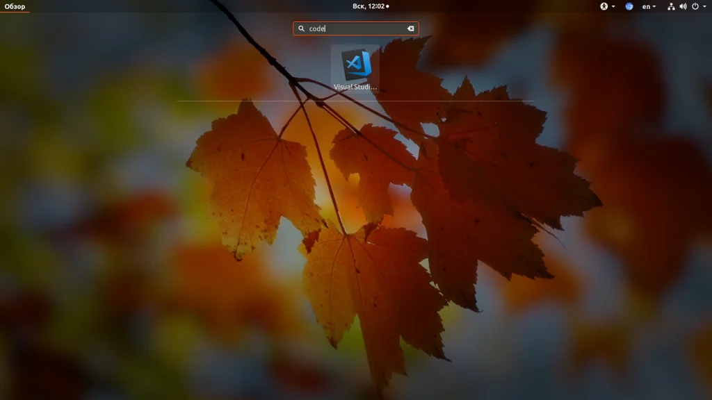 Установи Visual Studio Code на Ubuntu: 3 рабочих способа