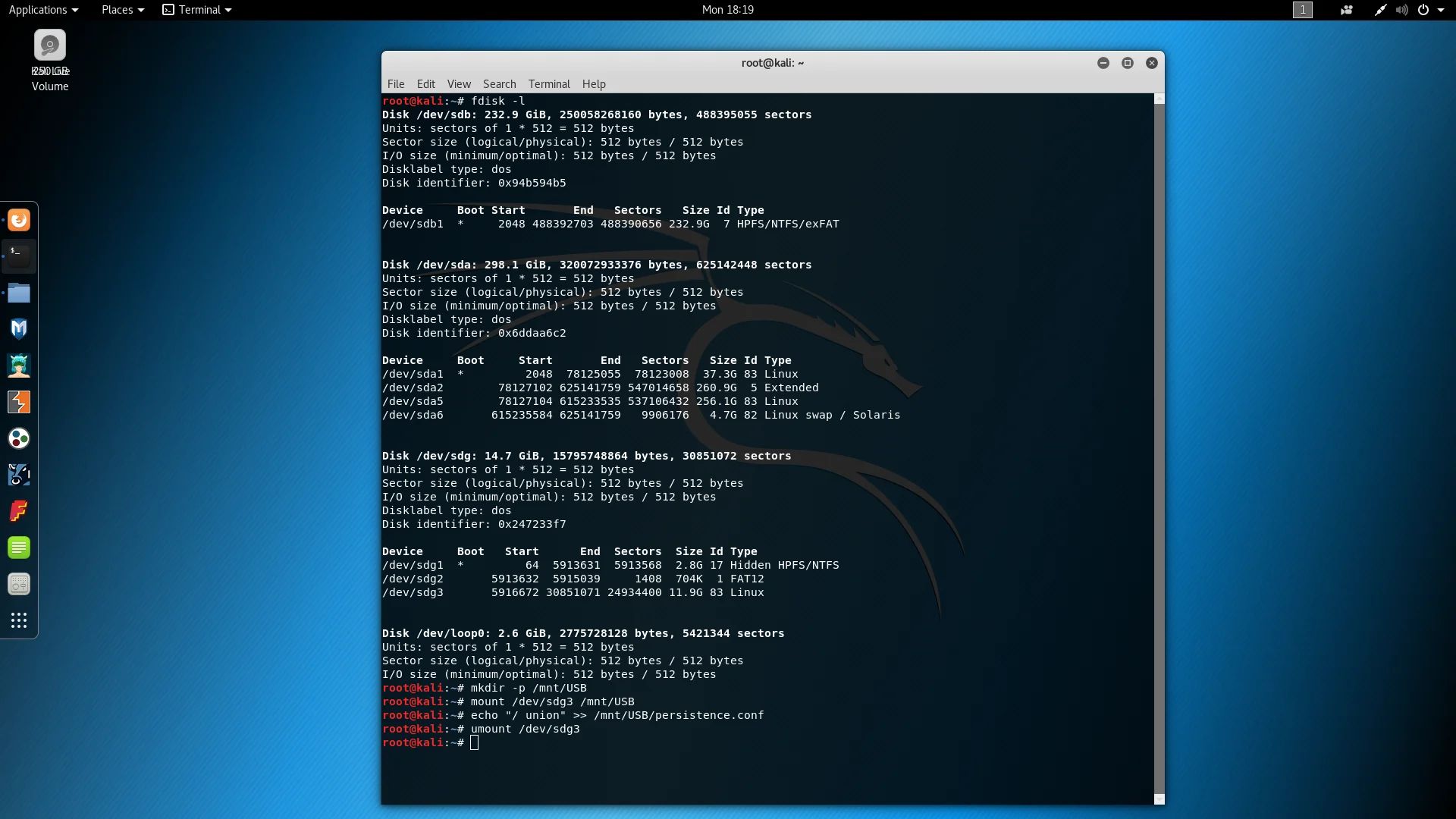 Kali Linux с флешки: Полная инструкция по созданию портативной хакерской ОС