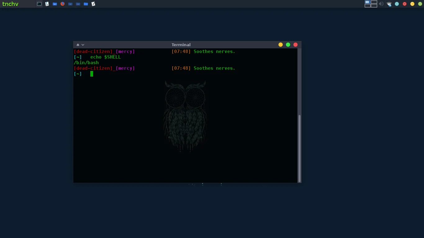 Bash-скрипты: 4 рабочих примера для автоматизации рутины в Linux
