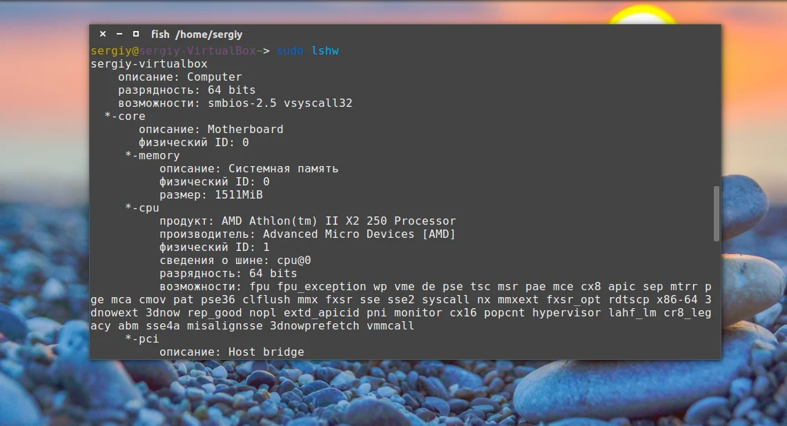 Где искать Диспетчер устройств в Ubuntu: полный гид по оборудованию
