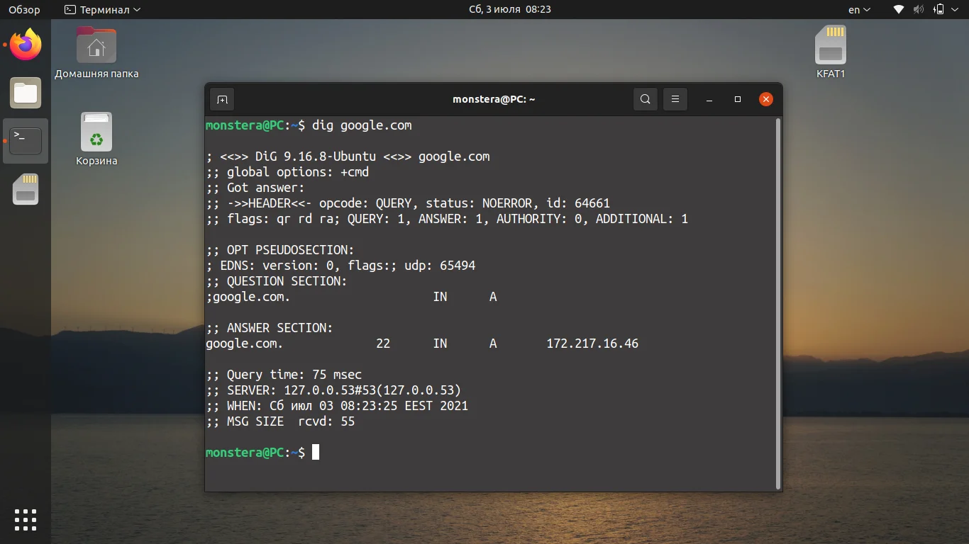 Dig в Linux: Полное руководство по мощному DNS-детективу