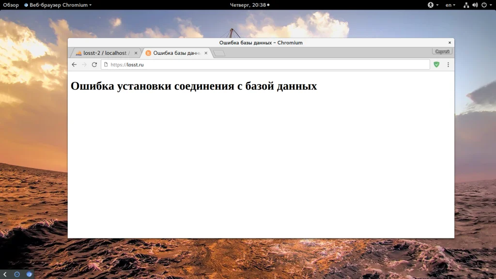 Сайт упал? Ошибка базы данных WordPress: как срочно исправить и вернуть посетителей