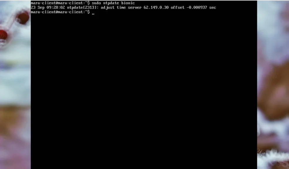 Точное время для Ubuntu 18.04: Настраиваем NTP-сервер и клиент за 5 минут