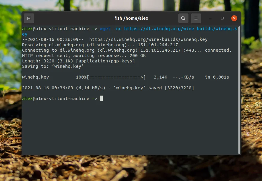 Запускай Windows-программы в Ubuntu 20.04: Полный гайд по установке Wine